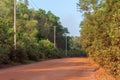 A red sand dirt road cut through a forest. Royalty Free Stock Photo