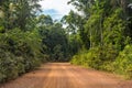 A red sand dirt road cut through a forest. Royalty Free Stock Photo