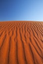 Red sand dune on a clear day, Northern Territory, Australia Royalty Free Stock Photo