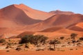Red sand dune, Sossusvlei, Namibia