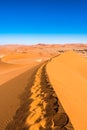 Red sand dunes in Deadvlei, Sossusvlei, Namib-Naukluft National Park, Namibia Royalty Free Stock Photo