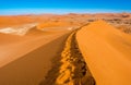 Red sand dunes in Deadvlei, Sossusvlei, Namib-Naukluft National Park, Namibia Royalty Free Stock Photo