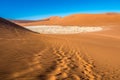 Red sand dunes in Deadvlei, Sossusvlei, Namib-Naukluft National Park, Namibia Royalty Free Stock Photo