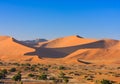 Red sand dunes of the Namib desert in morning light Royalty Free Stock Photo