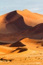 Red sand dunes of the Sossusvlei in Namibia