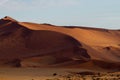 Red sand dunes of the Sossusvlei in Namibia