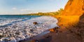 Red Sand From Pu\'u Olai Cinder Cone on Oneuli Beach Royalty Free Stock Photo