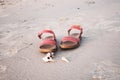 Red sandals with shells on the sea sandy beach. Tourism concept Royalty Free Stock Photo