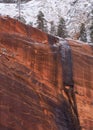 A red sandstone cliff topped with ponderosa pine trees and snow covered cliffs behind them has a frozen waterfall coming down Royalty Free Stock Photo