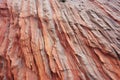 red sandstone cliff wall texture Royalty Free Stock Photo