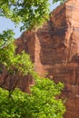 Red sandstone cliffs, Zion National Park, Utah Royalty Free Stock Photo