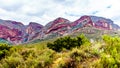 Red Sandstone Mountains of the Little Karoo Region in the Western Cape Province Royalty Free Stock Photo