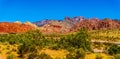 Red Sandstone Mountains near Red Rock Canyon National Conservation Area near Las Vegas, NV, USA Royalty Free Stock Photo