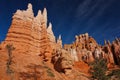 Red sandstone towers in Bryce Canyon NP, Utah Royalty Free Stock Photo