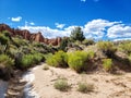 Red sandstone and yellow rabbitbrush at Kodachrome State Park in Utah Royalty Free Stock Photo