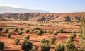 Red sandy landscape with green bushes