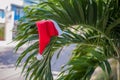 Red Santa`s hat hanging on palm tree at the tropical beach. Christmas in tropical climate concept Royalty Free Stock Photo