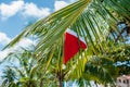 Red Santa`s hat hanging on palm tree at the tropical beach. Christmas in tropical climate concept Royalty Free Stock Photo