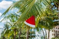 Red Santa`s hat hanging on palm tree at the tropical beach. Christmas in tropical climate concept Royalty Free Stock Photo