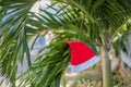 Red Santa`s hat hanging on palm tree at the tropical beach. Christmas in tropical climate concept Royalty Free Stock Photo