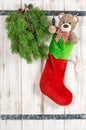 Red Santas hat, Teddy Bear and green pine tree branch Royalty Free Stock Photo