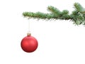 Red satin glass ball hanging on christmas branch Royalty Free Stock Photo