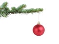 Red satin glass ball hanging on christmas branch Royalty Free Stock Photo