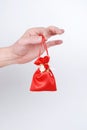Red sating gift bag Royalty Free Stock Photo