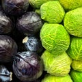 Red and savoy cabbage Royalty Free Stock Photo