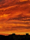 red scarlet sunset on the background of