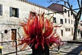 Red sculpture, art and history in Venice city, Italy