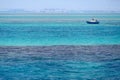 Red Sea background, clean blue water, small waves, boat, city skyline, Egypt