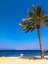 Red sea beach. Chair under palm tree. Having a vacation in Jordan. Royalty Free Stock Photo