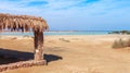 Red Sea coast and mangroves in the Nabq National Park. Snorkeling equipment - flippers, snorkel and mask. Famous travel Royalty Free Stock Photo