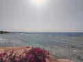 Red sea in Egypt natural background