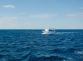 Red Sea Egypt. White motor yacht sailing on the sea Royalty Free Stock Photo