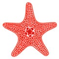 Red sea star fish. Vector Illustration Royalty Free Stock Photo