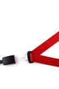 Red seat belt with a fastener and the lock Royalty Free Stock Photo