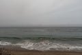 Red seaweed in the ocean along the Ventura county coastline, California Royalty Free Stock Photo