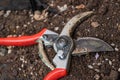 Red secateurs pruning shears or pruner on ground closeup - Image