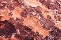 Red sedimentary rock texture. red rustic stone texture. background. nature Royalty Free Stock Photo