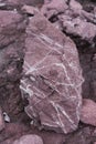 Red sedimentary Rock with white crystal on surface