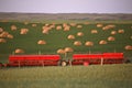 Red seeders and hay bales