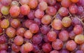 Red Seedless Grapes