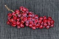 Red seedless grapes,The red grape seeds and galling. Royalty Free Stock Photo