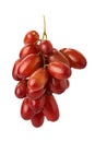 Red seedless table grapes Royalty Free Stock Photo