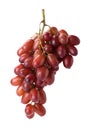 Red seedless table grapes Royalty Free Stock Photo