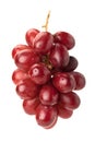 Red seedless table grapes Royalty Free Stock Photo