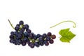 Red seedless table grapes with leaf on white background Royalty Free Stock Photo