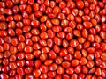 Red Seeds Royalty Free Stock Photo